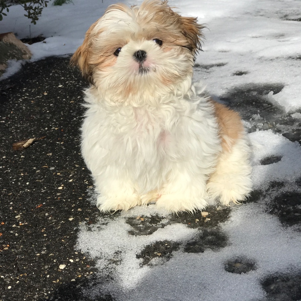 Meet your Posher, Marg